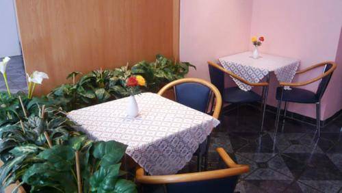 Hotel Pension ARPI, Vienna