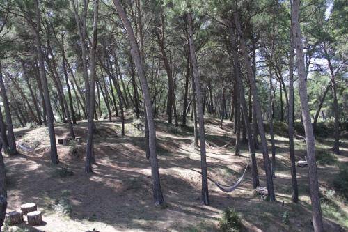 Le Mas des Écureuils, Aix en Provence